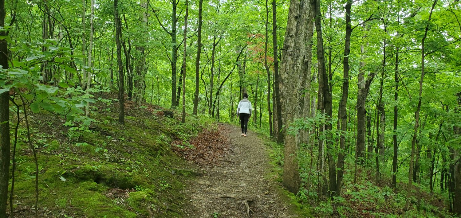 Fox Ridge State Park 